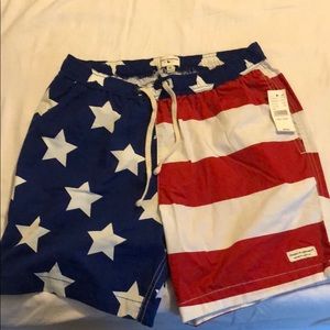 Modern Amusement American Flag Bathing Suit